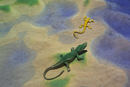 Crocodile toy on colorful sand imitated desert.の写真素材