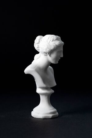 Venus plaster with a black backgroundの写真素材