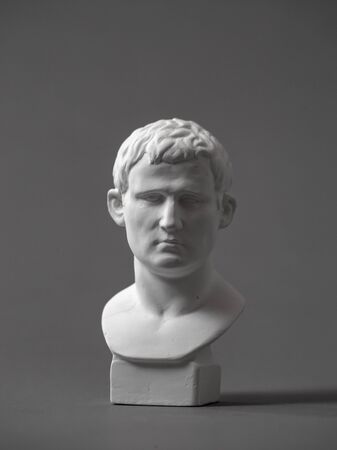 Agrippa plaster figure. for drawing.の写真素材