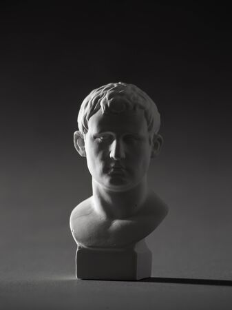 Agrippa plaster figure. for drawing.の写真素材