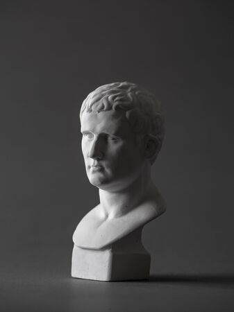 Agrippa plaster figure. for drawing.の写真素材