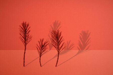 pine needles and copyspace. Minimal concept art.