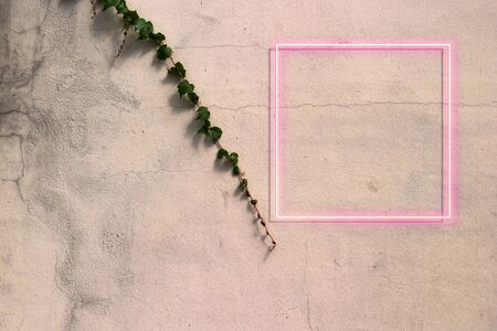 neon sign frame of concrete wall. Copy Space and Advertising. Ivy on the wall.