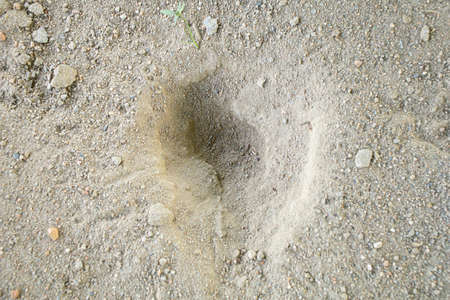 top view of a hollow of earth. the texture of soil and sand.の写真素材