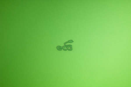 Eco Icon in Green Background. 3D rendering.
