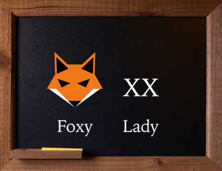 Blackboard with Concept of the term foxy lady, with fox and XX for the female chromosomes