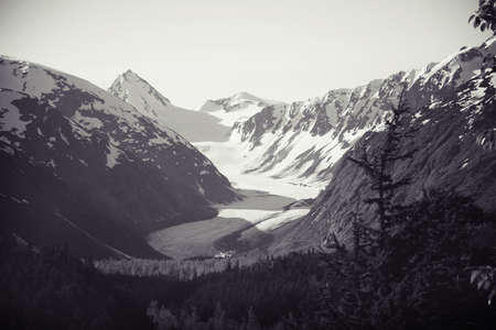 Mountain Glacier in Alaskan interior on the way to Denali.  Mountains, snow, ice, trees, and valley. In Black and White.の写真素材