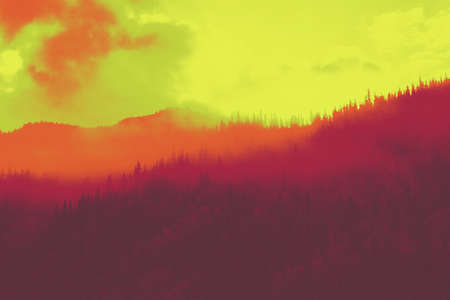 Misty mountains and pine trees in Alaska with abstract colors.の写真素材
