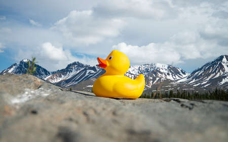Yellow Rubber Ducky in front of jagged mountain peaks.の写真素材