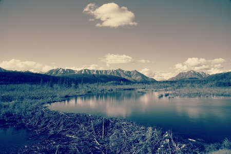 View of Alaska's wilderness: Mountains, River, Beaver Dam, and reflection in pond.の写真素材