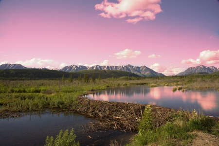 View of Alaska's wilderness: Mountains, River, Beaver Dam, and reflection in pond.の写真素材