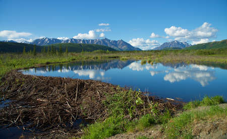View of Alaska's wilderness: Mountains, River, Beaver Dam, and reflection in pond.の写真素材