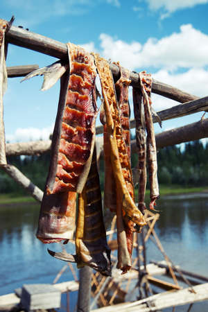 Fresh caught Salmon hanging to dry and smoke in by River in Fairbanks Alaskaの写真素材