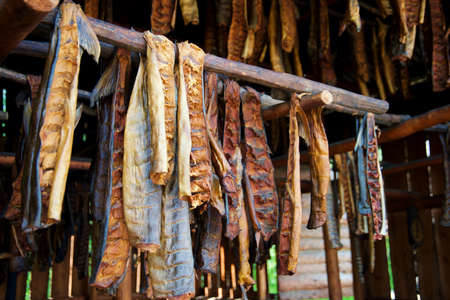 Fresh caught Salmon hanging to dry and smoke in by River in Fairbanks Alaskaの写真素材