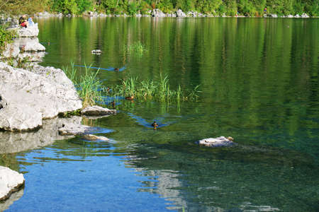 Ducks swimming in Lake Eibsee