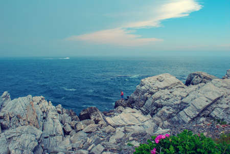 Rugged Terrain, rocky cliffs in Maine Acadia National Park