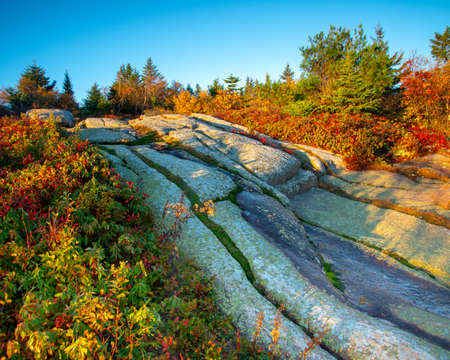 Sunrise over Forrest and rocky mountain side in Maine USAの写真素材