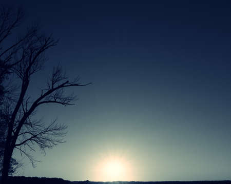 Sun setting with silhouette of tree in black and whiteの写真素材