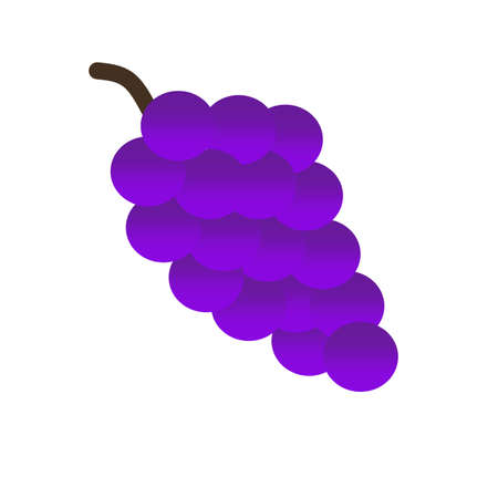 Illustration of Grapesの写真素材