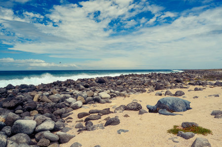 View of black rock beach with Sand and blue skies.の写真素材