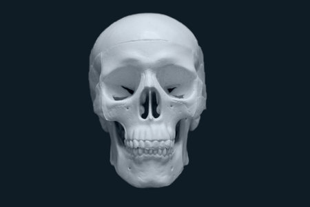skull isolated on black background