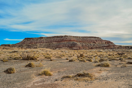 Desert Landscape in Souther Utah, southwest USA, cliffs, mesa, mountains, vegetation, and great viewsの写真素材
