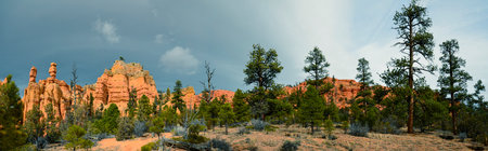 Red Sand Canyon Park, with pine trees and cloudy sky.の写真素材