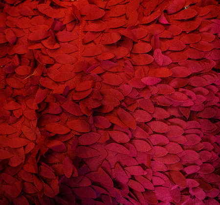 Close up on a deep red pillow with a scale fabric patternの写真素材