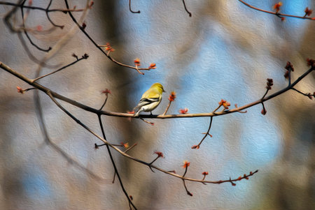 Close up on bird in natural environment, with oil painting filter.の写真素材