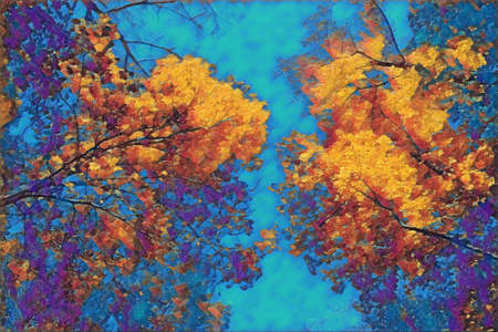 Looking up at the tree canopy during autumn.  Leaves have turned from green to yellow, orange, and red.の写真素材
