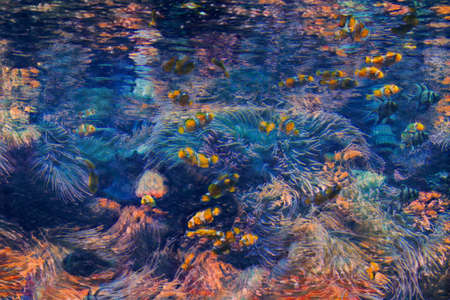 Large aquarium saltwater tank with bright, vibrant colors, Clown Fish, and other corral fish.  Edited to look like a colorful painting.の写真素材