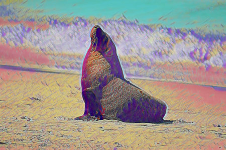 Artwork image of a Bull Fur Seal or male fur seal, soaking up the sun.の写真素材