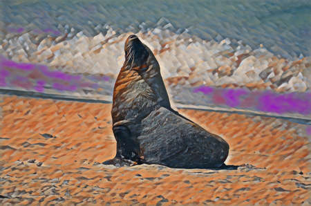 Artwork image of a Bull Fur Seal or male fur seal, soaking up the sun.の写真素材