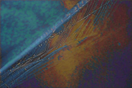 Illustration of a spider's web with blurry background focus.の写真素材