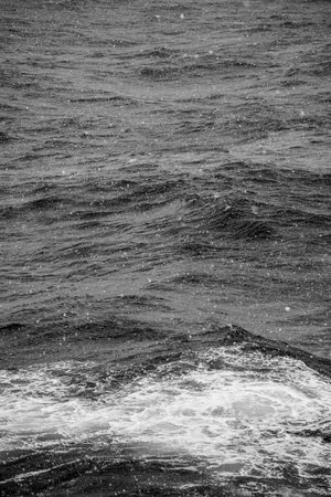 Raging sea with waves and wind. Black and white photo.の写真素材