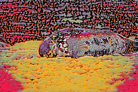 Illustration of an animal on a colorful background. The animal is sleeping.の写真素材