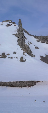 Snowy mountain landscape with a lot of penguinsの写真素材
