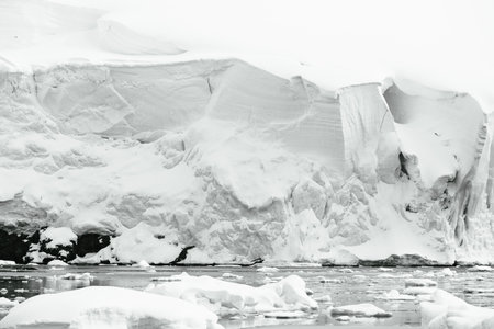 Antarctic landscape with icebergs and ice in black and whiteの写真素材