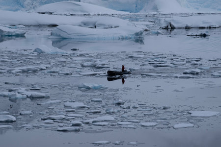 Antarctic landscape with icebergs, ice floes and penguins