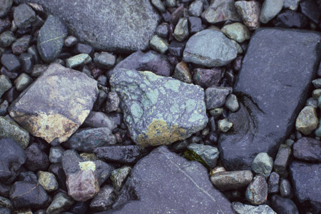 A close-up of a brightly colored rock among dark-colored rocks on an Antarctica beach.の写真素材