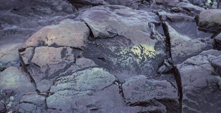 Closeup of a rock in Hawaii Volcanoes National Park.の写真素材