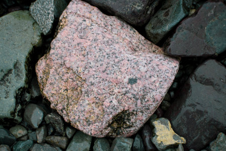 A close-up of a brightly colored rock among dark-colored rocks on an Antarctica beach.の写真素材