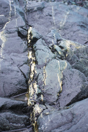 The texture of the rock. The surface of the rock is covered with cracks.の写真素材