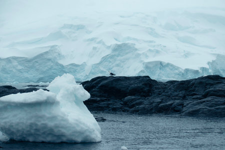 Antarctic landscape with icebergs, birds and ice floesの写真素材