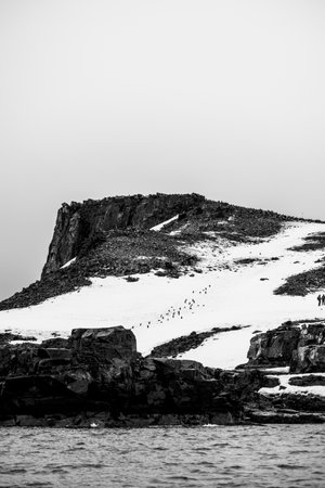 Icelandic landscape with snow and sea. Black and white.の写真素材