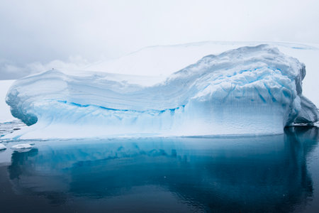 Antarctic icebergs floating in the water on a cloudy dayの写真素材