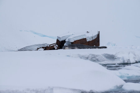 Antarctic landscape with shipwreck on the ice floe.の写真素材