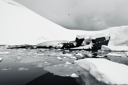 Floating icebergs in Antarctica.の写真素材