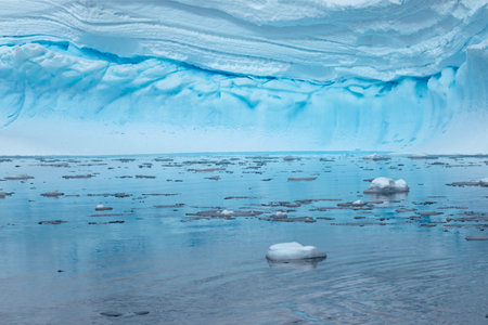 Icebergs in Glacier Lagoon, Antarctic Peninsula, Antarctica.の写真素材