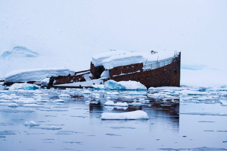 Antarctic winter landscape with an old shipwreck in the foregroundの写真素材